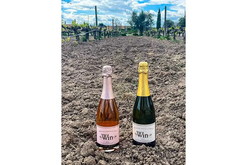 MATARROMERA-Innovacion_Sin_Alcohol-4